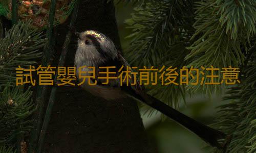 試管嬰兒手術前後的注意事項